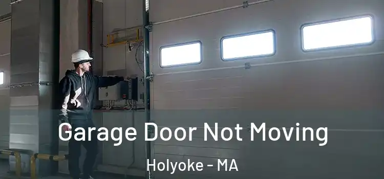  Garage Door Not Moving Holyoke - MA