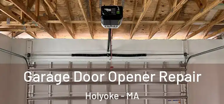  Garage Door Opener Repair Holyoke - MA