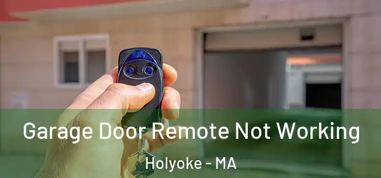  Garage Door Remote Not Working Holyoke - MA