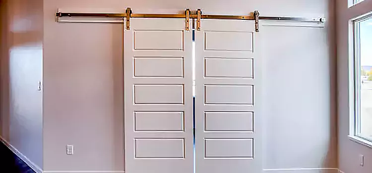 Glass Barn Door with Installation Hardware Kit Holyoke