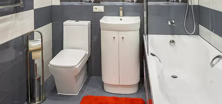Hansgrohe Shaving Mirror Holyoke